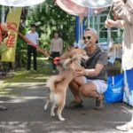 pet-friendly-holiday-krabi-blu-monkey-pooltara